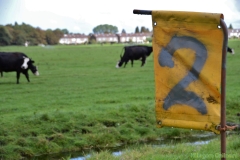 190907-boerengolf-103