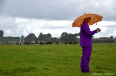 190907-boerengolf-106