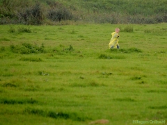 190907-boerengolf-107