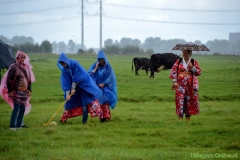 190907-boerengolf-108