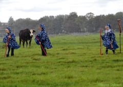 190907-boerengolf-112