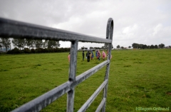 190907-boerengolf-113