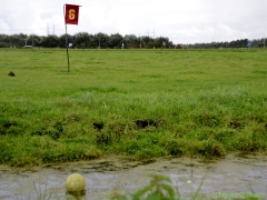 190907-boerengolf-115