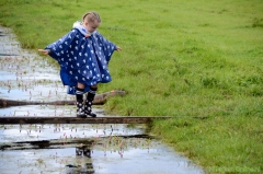 190907-boerengolf-135