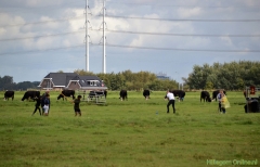 190907-boerengolf-143