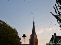 190930-Boring-Van-Nispenpark-TR-101