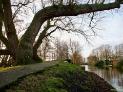 Thema-Winter-januari-Tonny de Rooij