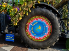 17_Bloemencorso_Nico_Kors