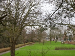 02 _ Tonny de Rooij _ Molenduintje