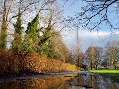 01 _ Tonny de Rooij _ Molenduintje