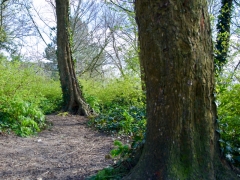 15 _ Tonny de Rooij _ Molenduintje