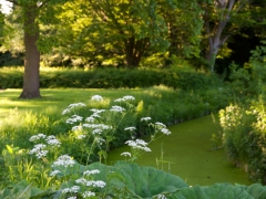 23_ Tonny de Rooij _ Molenduintje