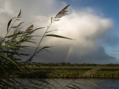 43_Corine-Zijerveld_Oosteinderlaan