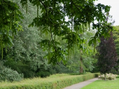 26_ Tonny de Rooij _ Molenduintje