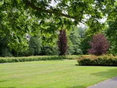 24_ Tonny de Rooij _ Molenduintje