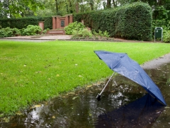 31_ Tonny de Rooij _ Molenduintje