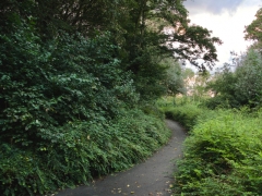 39 _ Tonny de Rooij _ Molenduintje