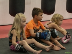 IKpictures-Kickboksclinic05