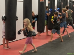 IKpictures-Kickboksclinic07