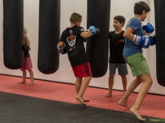 IKpictures-Kickboksclinic09