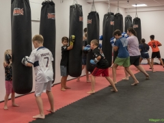 IKpictures-Kickboksclinic08