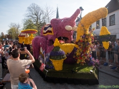 2018-Bloemencorso181