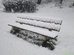 PHOTO-2026-01-05-10-41-25