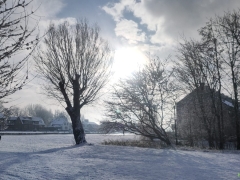 PHOTO-2026-01-05-12-23-07