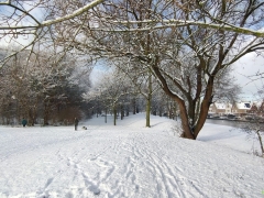 PHOTO-2026-01-05-12-23-08