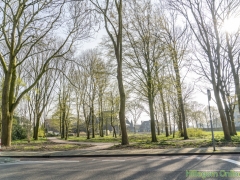 190329-Van-Nispenpark-Begin-situatie-103