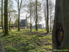 190329-Van-Nispenpark-Begin-situatie-109