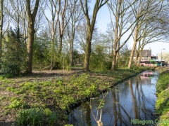 190329-Van-Nispenpark-Begin-situatie-111