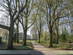 190329-Van-Nispenpark-Begin-situatie-112