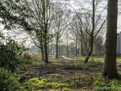 190329-Van-Nispenpark-Begin-situatie-114