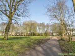 190329-Van-Nispenpark-Begin-situatie-115