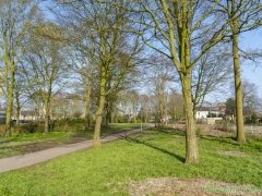 190329-Van-Nispenpark-Begin-situatie-116