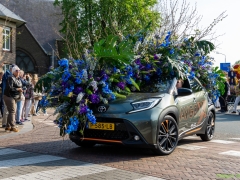 05_Bloemencorso_Nico_Kors