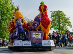 14_Bloemencorso_Nico_Kors