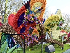 DSC_3334