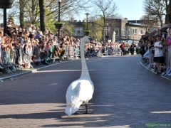 250412-Bloemencorso-BO-OO-127