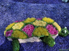 250412-Bloemencorso-BO-OO-128