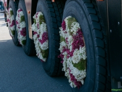 250412-Bloemencorso-BO-OO-143
