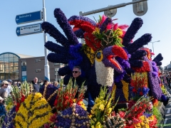 250412-Bloemencorso-BO-OO-153