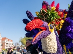250412-Bloemencorso-BO-OO-154