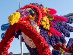 250412-Bloemencorso-BO-OO-156