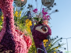 250412-Bloemencorso-BO-OO-162