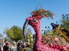 250412-Bloemencorso-BO-OO-164