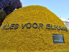 250412-Bloemencorso-BO-OO-167