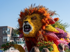 250412-Bloemencorso-BO-OO-169