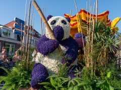 250412-Bloemencorso-BO-OO-173